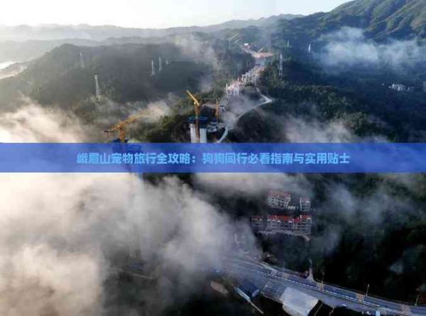 峨眉山宠物旅行全攻略：狗狗同行必看指南与实用贴士