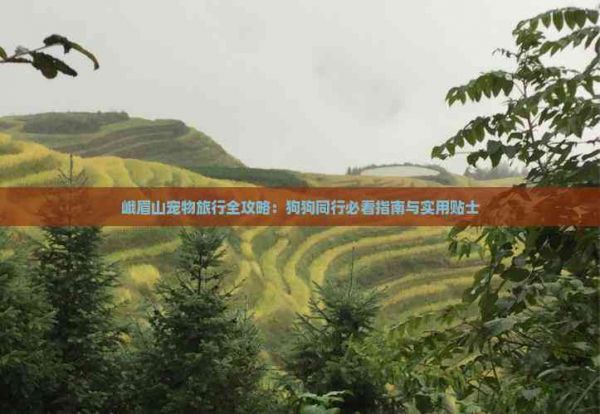 峨眉山宠物旅行全攻略：狗狗同行必看指南与实用贴士