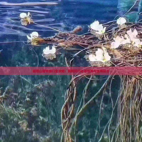 峨眉山宠物旅行全攻略：狗狗同行必看指南与实用贴士