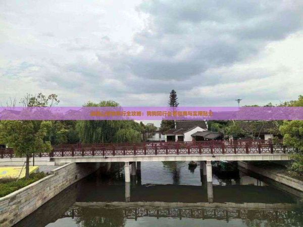 峨眉山宠物旅行全攻略：狗狗同行必看指南与实用贴士