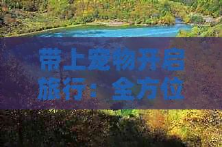带上宠物开启旅行：全方位攻略与必备指南