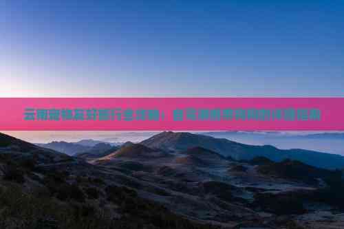 云南宠物友好旅行全攻略：自驾游携带狗狗的详细指南