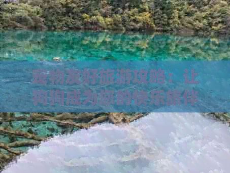宠物友好旅游攻略：让狗狗成为您的快乐旅伴