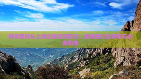 携带猫咪从上海出发畅游四川：宠物旅行全攻略与必备指南