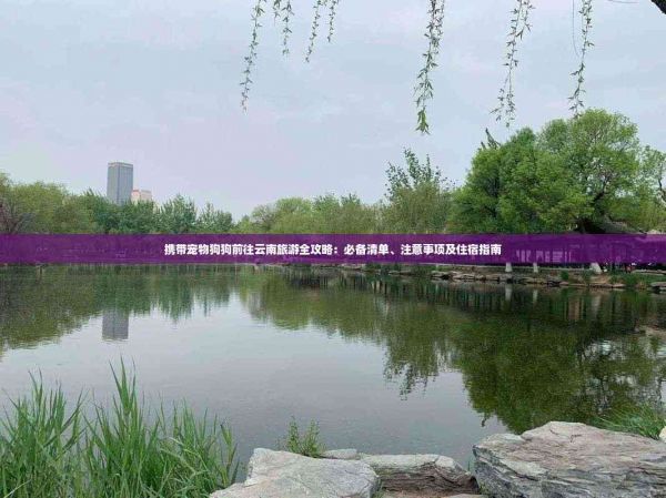 携带宠物狗狗前往云南旅游全攻略：必备清单、注意事项及住宿指南