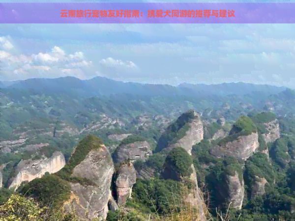 云南旅行宠物友好指南：携爱犬同游的推荐与建议