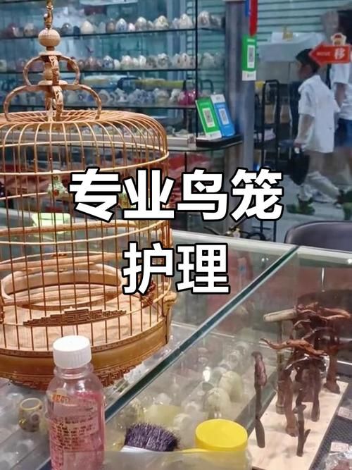 鸟笼如何保养
