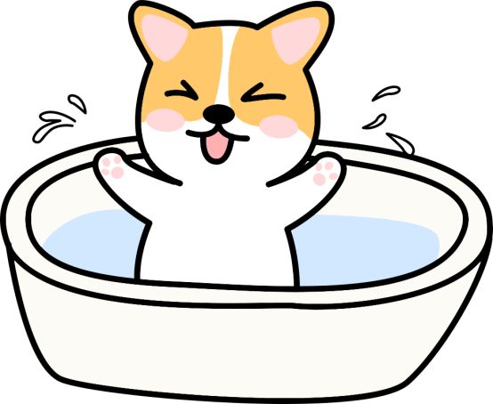怎么去除狗狗跳蚤