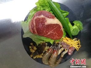为宠物打造均衡营养餐