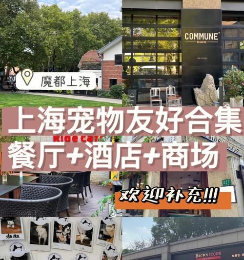 宠物友好酒店——为你的宠物提供温馨住宿（让你的爱宠和你一起留宿的最佳选择）