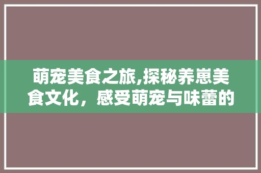萌宠美食之旅,探秘养崽美食文化，感受萌宠与味蕾的双重盛宴