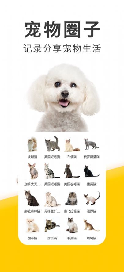 宠物交流社区