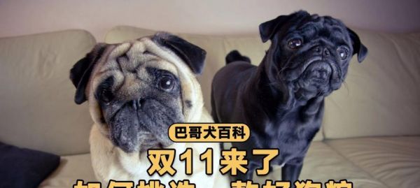 如何选择适合狗狗的狗粮（解答狗粮9大常见问题，让你的爱宠更健康）
