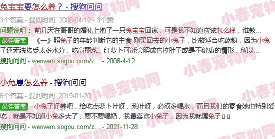 如何养兔子宝宝