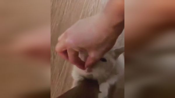 搞笑精彩片段，看一遍笑一遍，看完不信你不笑！_17882