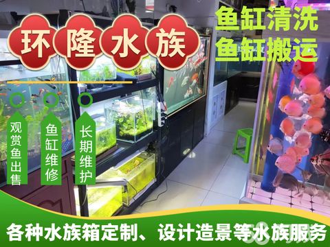 合肥庐阳区环隆水族馆·上门清洗鱼缸搬运 维修 长期维护 销售各种观赏鱼 各种宠物鸟、仓鼠等
