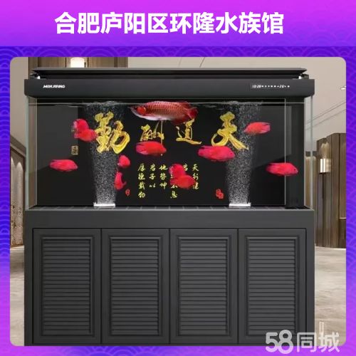 店主头像
