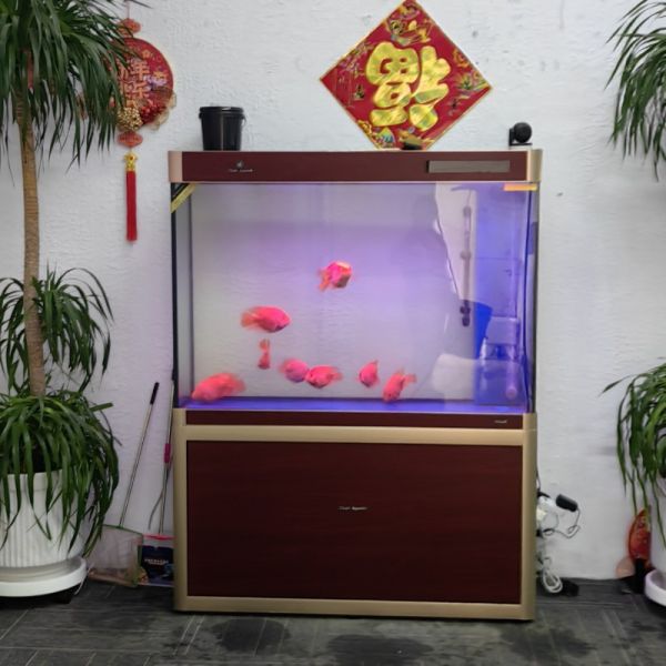 店主头像