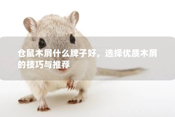仓鼠木屑什么牌子好，选择优质木屑的技巧与推荐