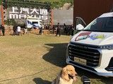 武汉训犬师培训就找孙亮宠物培训学校