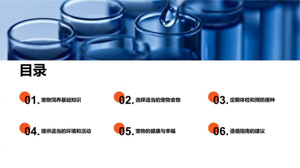 萌宠养护宝典_第2页