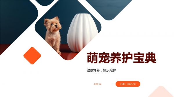 萌宠养护宝典_第1页