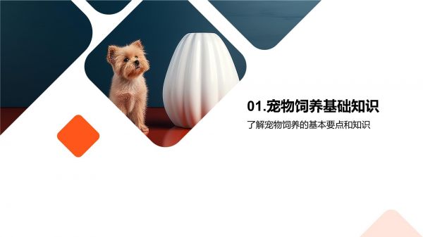 萌宠养护宝典_第3页