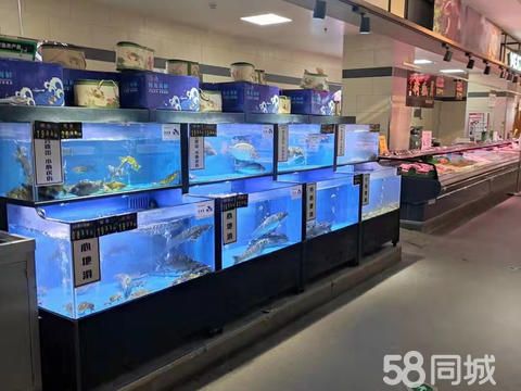 透亮鱼缸制作·宠物用品食品出售，定做鱼池鱼缸 定做高档酒店观赏鱼缸