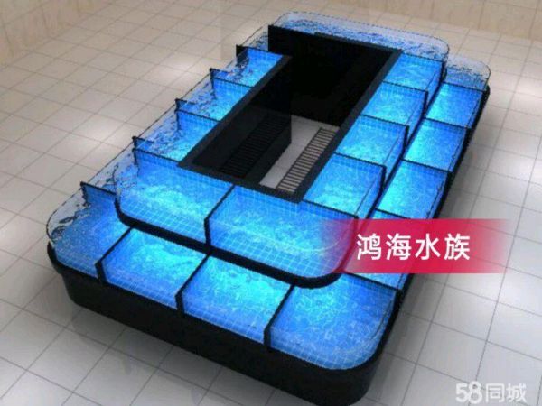 店主头像