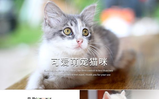 可爱萌宠猫咪宠物店动态ppt模板