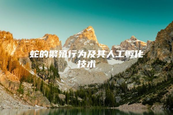 蛇的繁殖行为及其人工孵化技术