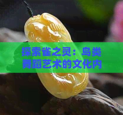 探索雀之灵：鸟类舞蹈艺术的文化内涵与表现手法