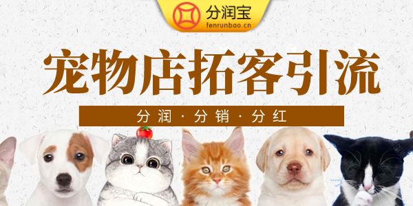 储值活动