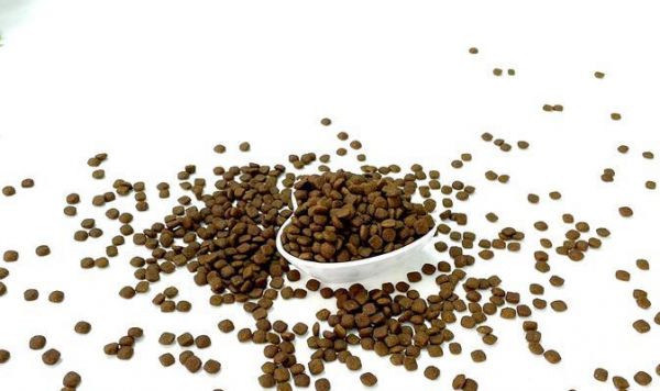 猫粮炒后变腥的原因是什么？