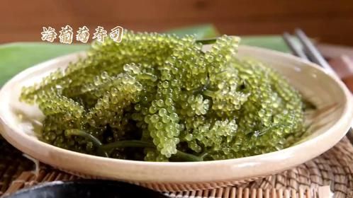 长在海里的海葡萄，烫至三分熟做成寿司，海味扑鼻鲜甜