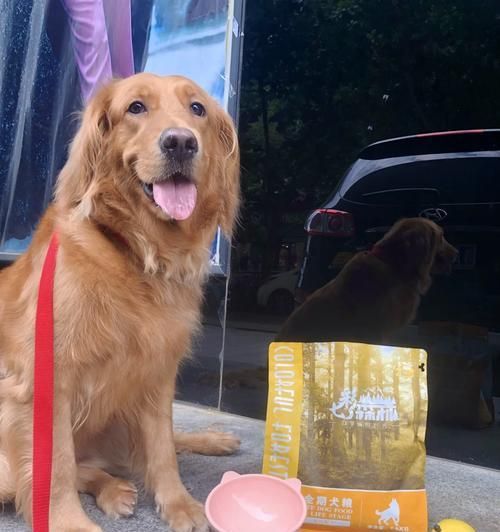 什么狗粮吃了狗拉屎不臭？（选择正确狗粮，让宠物更健康。）
