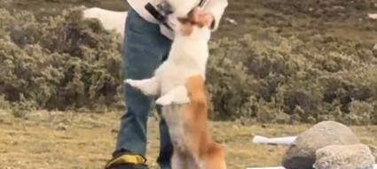 什么狗粮吃了狗拉屎不臭？（选择正确狗粮，让宠物更健康。）