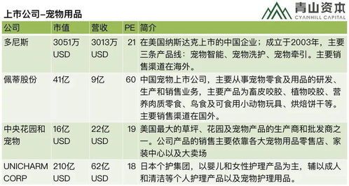 开宠物店需资金:预算明细速览