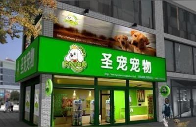 宠物饰品货源渠道分析,宠物店进货清单
