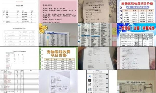 宠物诊所设备清单明细