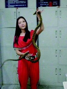 带宠物蛇过安检攻略，轻松通关！