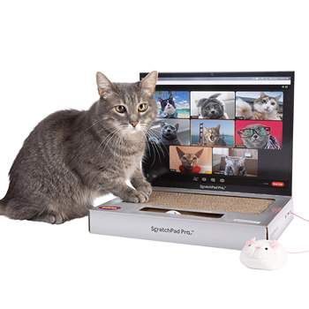 Wholesale New Design Custom Scratcher Laptop with Fluffy 'Mouse' Interactive Toys Pet Cat Scratching Board Wear-resistant