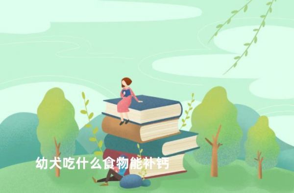 幼犬吃什么食物能补钙
