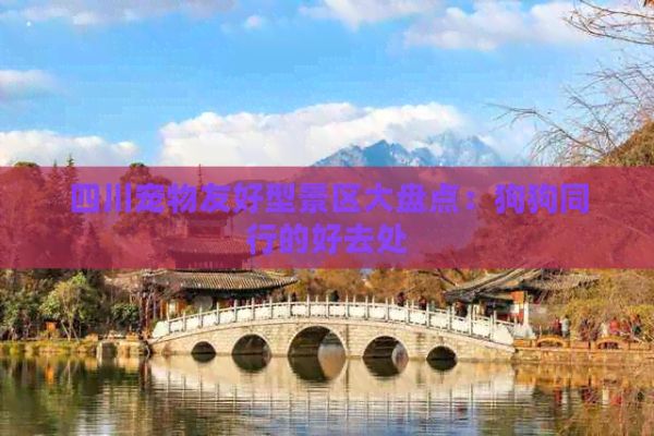 四川宠物友好型景区大盘点：狗狗同行的好去处