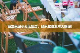 萌宠乐园小分队集结，欢乐宠物派对大揭秘！