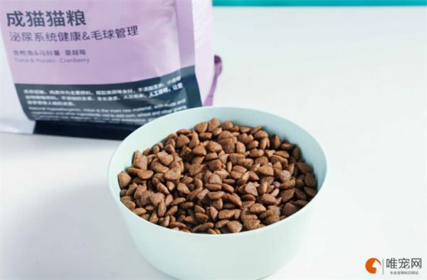 猫粮哪种好 有哪些品牌安全性价比高