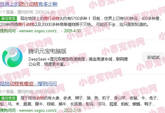 爬行动物都有哪些