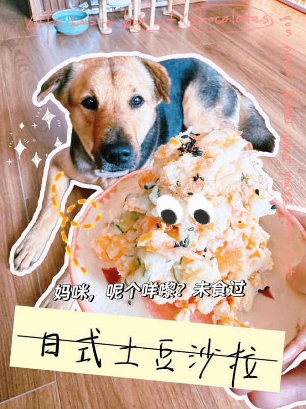 日式土豆泥沙拉(宠物亲子餐)的做法