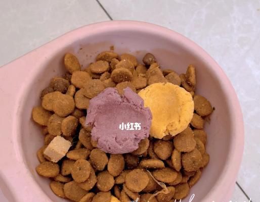 如何给宠物狗狗提供健康早餐？（注意事项和营养需求）