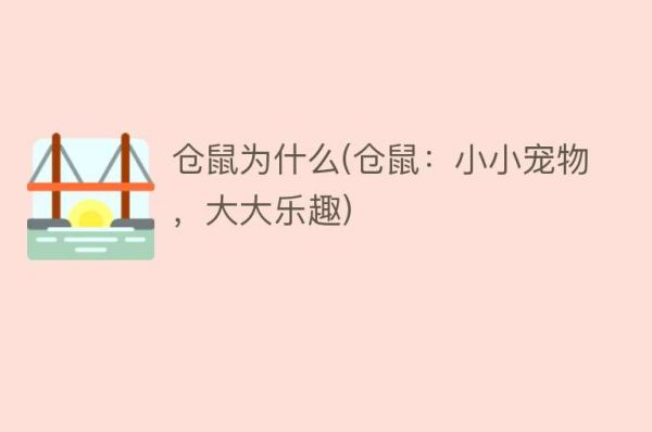 仓鼠为什么(仓鼠:小小宠物,大大乐趣)